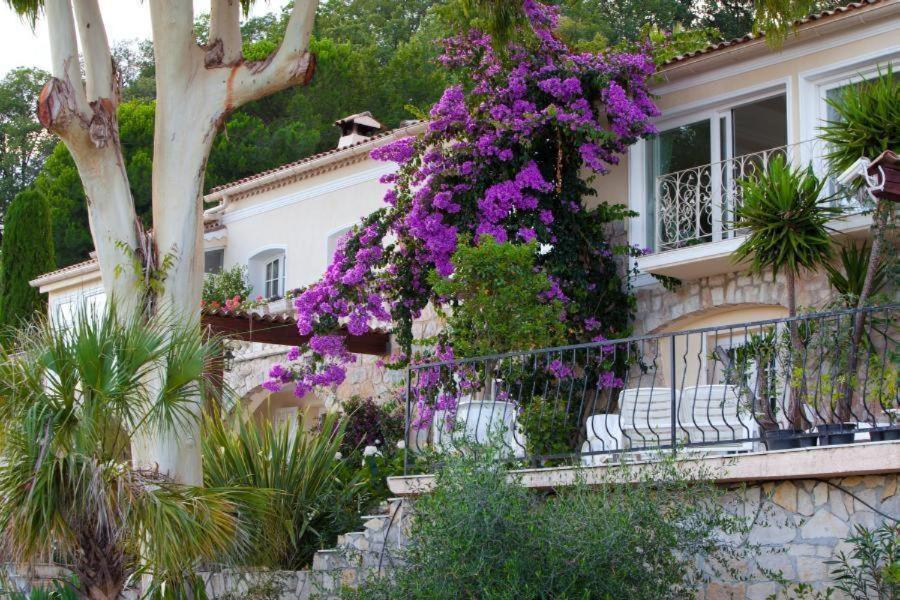 Villa Gloria Saint-Jeannet  Bagian luar foto